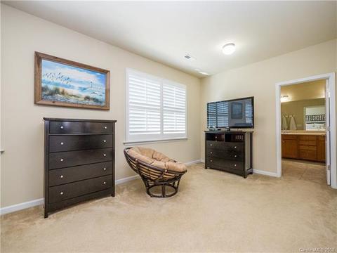 17310 Lake Path Dr, Cornelius, NC 28031 photo 17