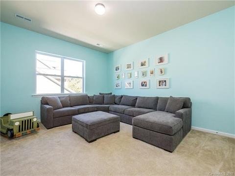 17310 Lake Path Dr, Cornelius, NC 28031 photo 24