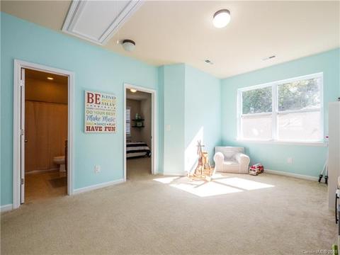 17310 Lake Path Dr, Cornelius, NC 28031 photo 19