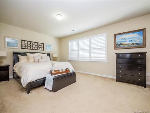 17310 Lake Path Dr, Cornelius, NC 28031 photo 16