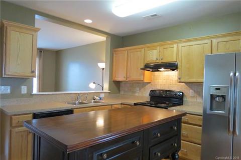 307 Davidson Gateway Dr, Davidson, NC 28036 photo 12