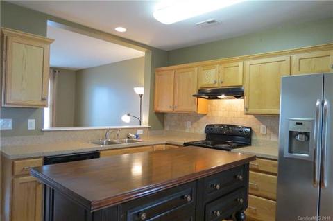 307 Davidson Gateway Dr, Davidson, NC 28036 photo 11