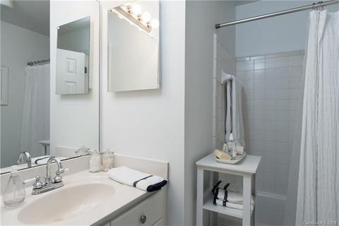 18573 Vineyard Point Ln, Cornelius, NC 28031 photo 13