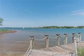 18573 Vineyard Point Ln, Cornelius, NC 28031 photo 22