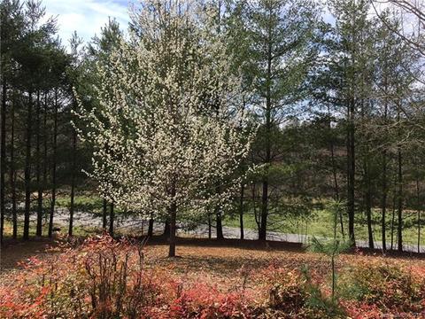 60 Fox Rd, Fairview, NC 28730 photo 12