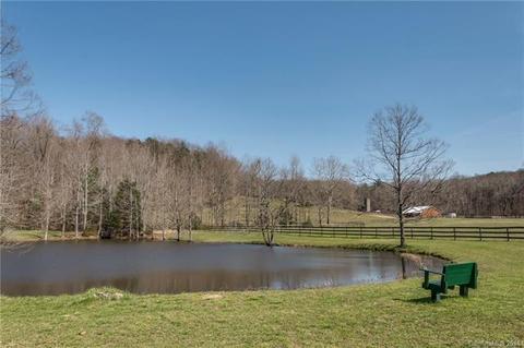 133 Wildeman Ln, Tryon, NC 28782 photo 33