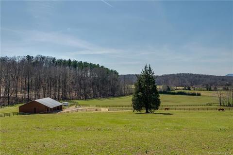 133 Wildeman Ln, Tryon, NC 28782 photo 34