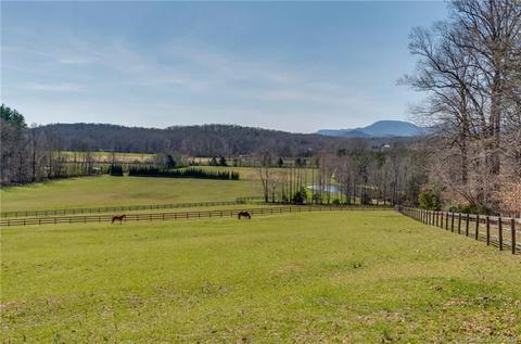 133 Wildeman Ln, Tryon, NC 28782 photo 36