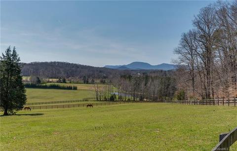 133 Wildeman Ln, Tryon, NC 28782 photo 35