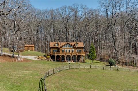 133 Wildeman Ln, Tryon, NC 28782 photo 1