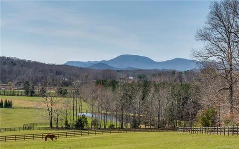 133 Wildeman Ln, Tryon, NC 28782 photo 2