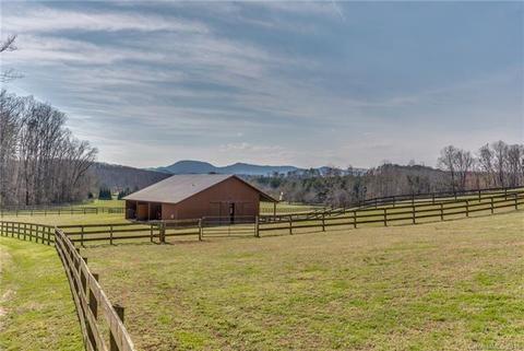133 Wildeman Ln, Tryon, NC 28782 photo 24