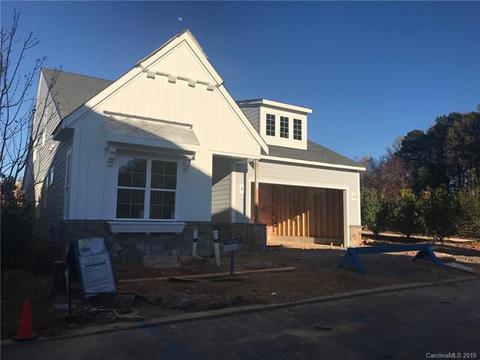 17802 Jetton Green Loop, Cornelius, NC 28031 photo 1
