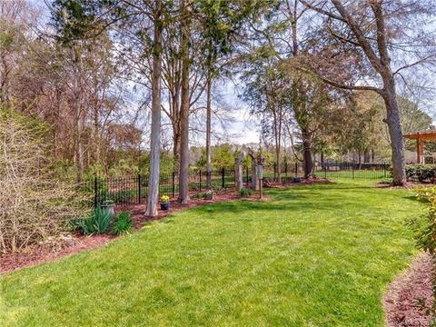 13315 Robert Walker Dr, Davidson, NC 28036 photo 36
