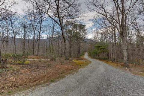 635 Wildcat View Ln, Mill Spring, NC 28756 photo 19