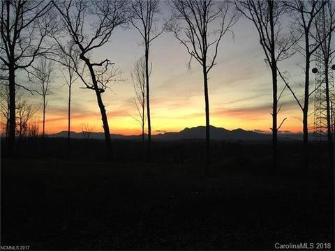2356 Pea Ridge Rd, Mill Spring, NC 28756 photo 20