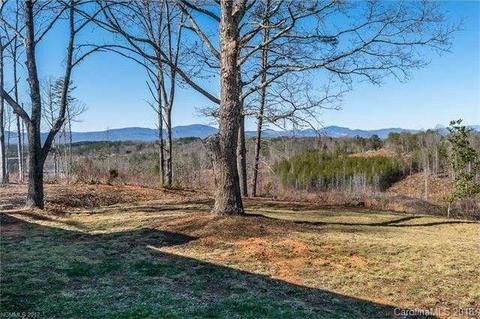 2356 Pea Ridge Rd, Mill Spring, NC 28756 photo 17