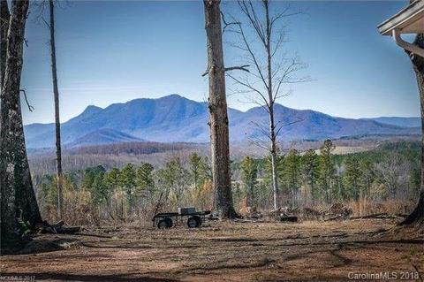 2356 Pea Ridge Rd, Mill Spring, NC 28756 photo 19