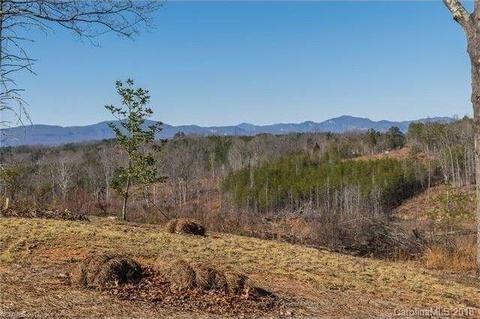 2356 Pea Ridge Rd, Mill Spring, NC 28756 photo 18