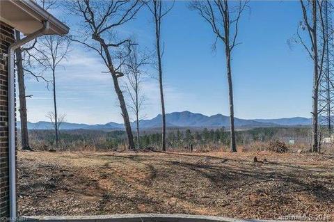 2356 Pea Ridge Rd, Mill Spring, NC 28756 photo 16