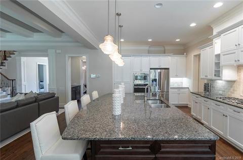 13205 Davidson Park Dr, Davidson, NC 28036 photo 11