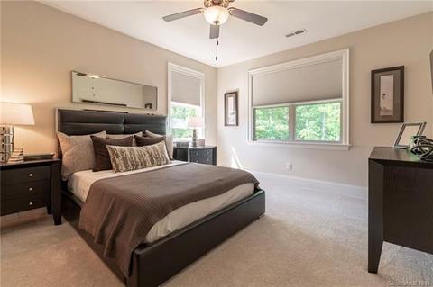 13205 Davidson Park Dr, Davidson, NC 28036 photo 30