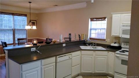 7011 Blithe Low Pl, Charlotte, NC 28273 photo 10