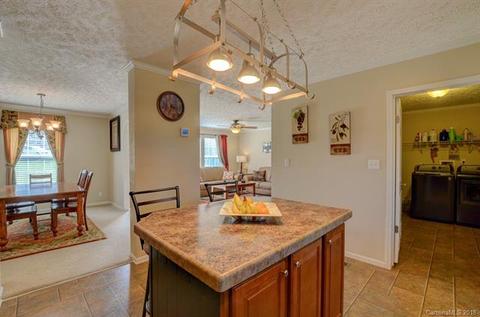 171 Beaverdam Loop Rd, Candler, NC 28715 photo 9