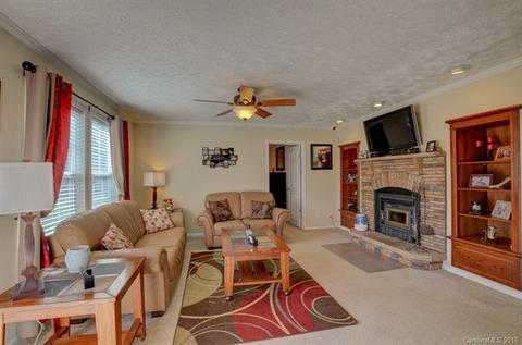 171 Beaverdam Loop Rd, Candler, NC 28715 photo 3