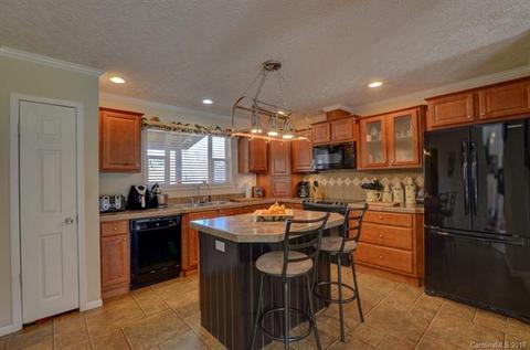 171 Beaverdam Loop Rd, Candler, NC 28715 photo 6