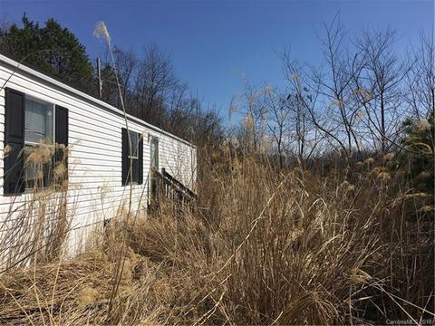 1138 Thomas Branch Rd, Marshall, NC 28753 photo 2