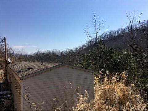 1138 Thomas Branch Rd, Marshall, NC 28753 photo 6