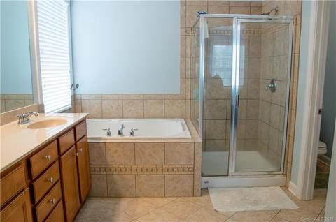 17821 Overland Forest Dr, Cornelius, NC 28031 photo 16