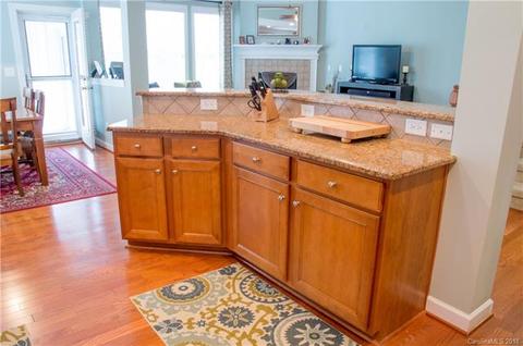 17821 Overland Forest Dr, Cornelius, NC 28031 photo 9