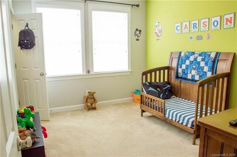 17821 Overland Forest Dr, Cornelius, NC 28031 photo 21