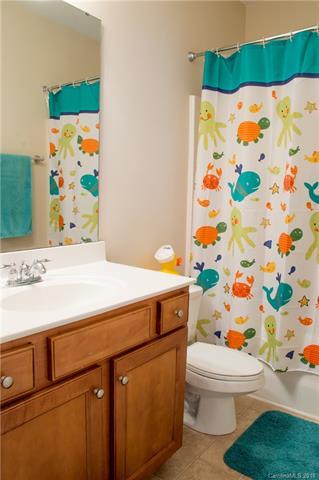 17821 Overland Forest Dr, Cornelius, NC 28031 photo 22