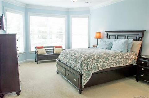 17821 Overland Forest Dr, Cornelius, NC 28031 photo 14