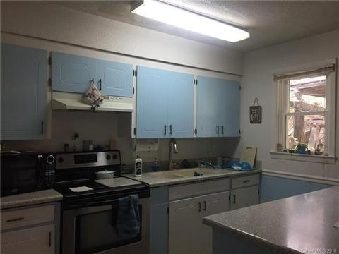 3109 N Nc Hwy 9 Hwy, Mill Spring, NC 28756 photo 5
