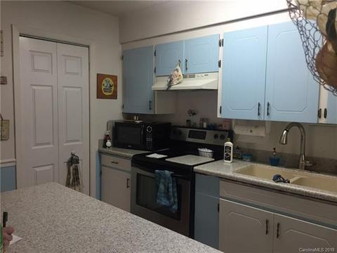 3109 N Nc Hwy 9 Hwy, Mill Spring, NC 28756 photo 4