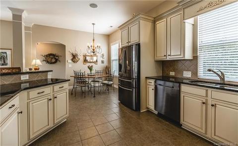 17624 Harbor Walk Dr, Cornelius, NC 28031 photo 2