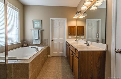 17624 Harbor Walk Dr, Cornelius, NC 28031 photo 12
