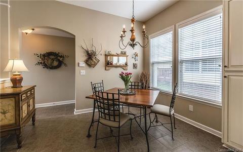 17624 Harbor Walk Dr, Cornelius, NC 28031 photo 10