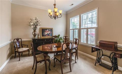 17624 Harbor Walk Dr, Cornelius, NC 28031 photo 8