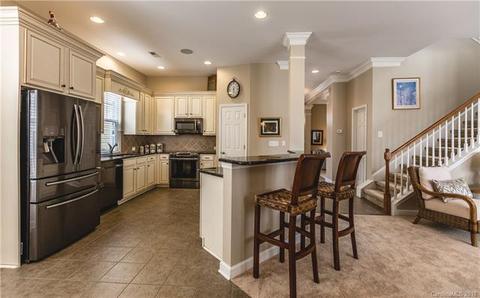 17624 Harbor Walk Dr, Cornelius, NC 28031 photo 4
