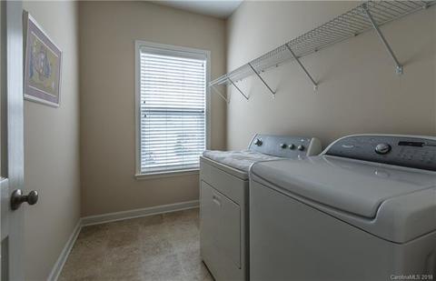 17624 Harbor Walk Dr, Cornelius, NC 28031 photo 17