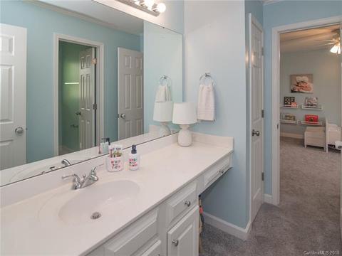 18313 Dembridge Dr, Davidson, NC 28036 photo 30