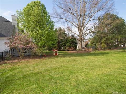 18313 Dembridge Dr, Davidson, NC 28036 photo 36