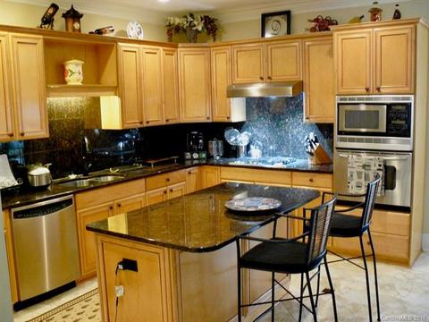 158 Harper Lee St, Davidson, NC 28036 photo 11