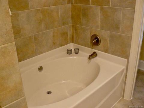 158 Harper Lee St, Davidson, NC 28036 photo 14