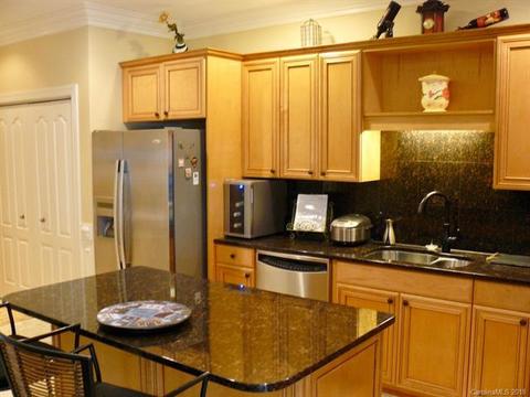 158 Harper Lee St, Davidson, NC 28036 photo 10